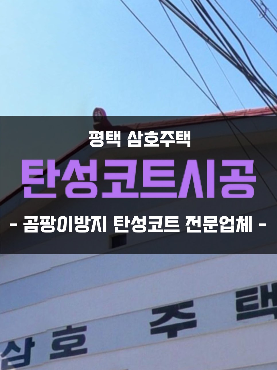 삼호보수 이미지