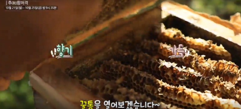 백두대간벌꿀 이미지