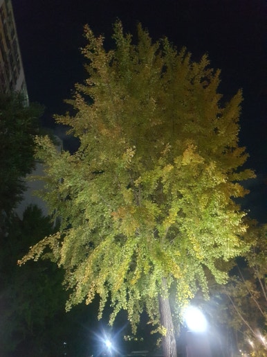 먹거리휴게소 사진 8