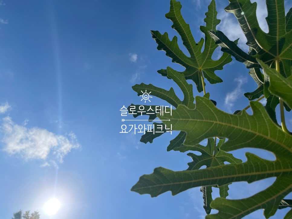 슬로우피크닉 이미지