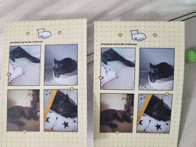 냥냠제작소 이미지