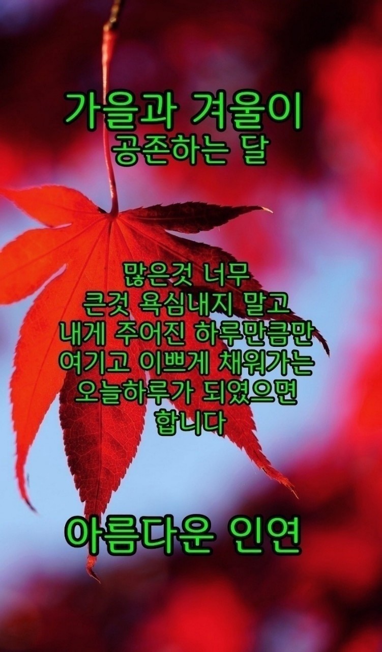 낭만포차한식점심부페 이미지