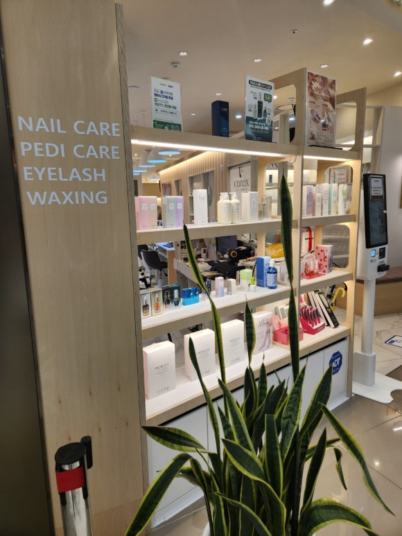 네일테라스 이미지