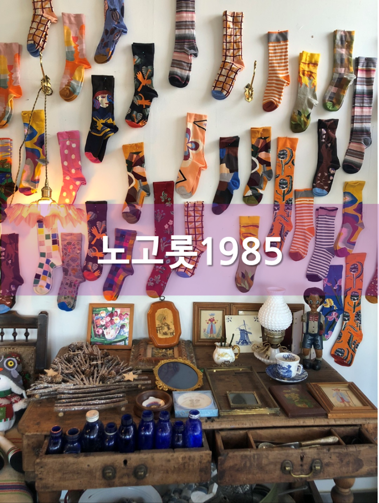 노고롯1985 이미지