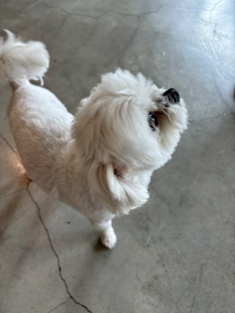 올스톤커피하우스 이미지