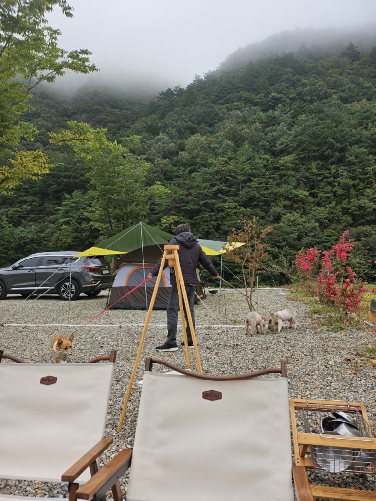 라만차의돈키호테캠핑장 이미지