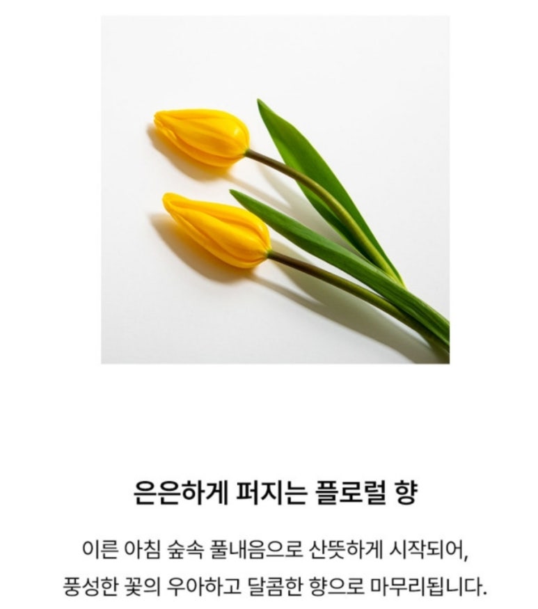 리치미용실 이미지