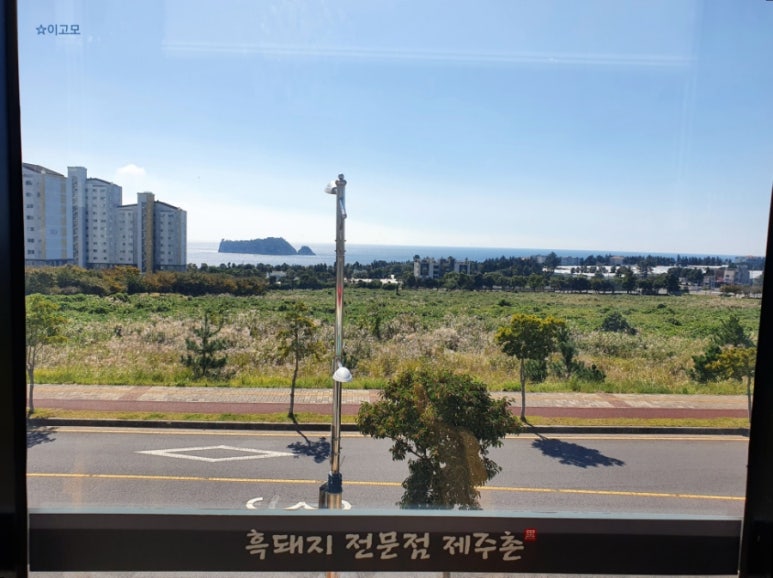 서귀포시축협청정제주촌 이미지