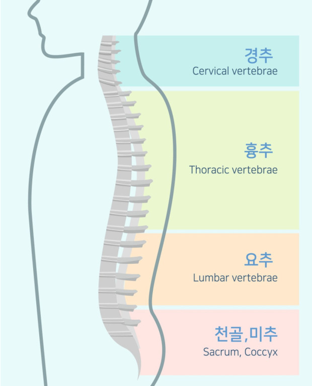 코드짐 이미지