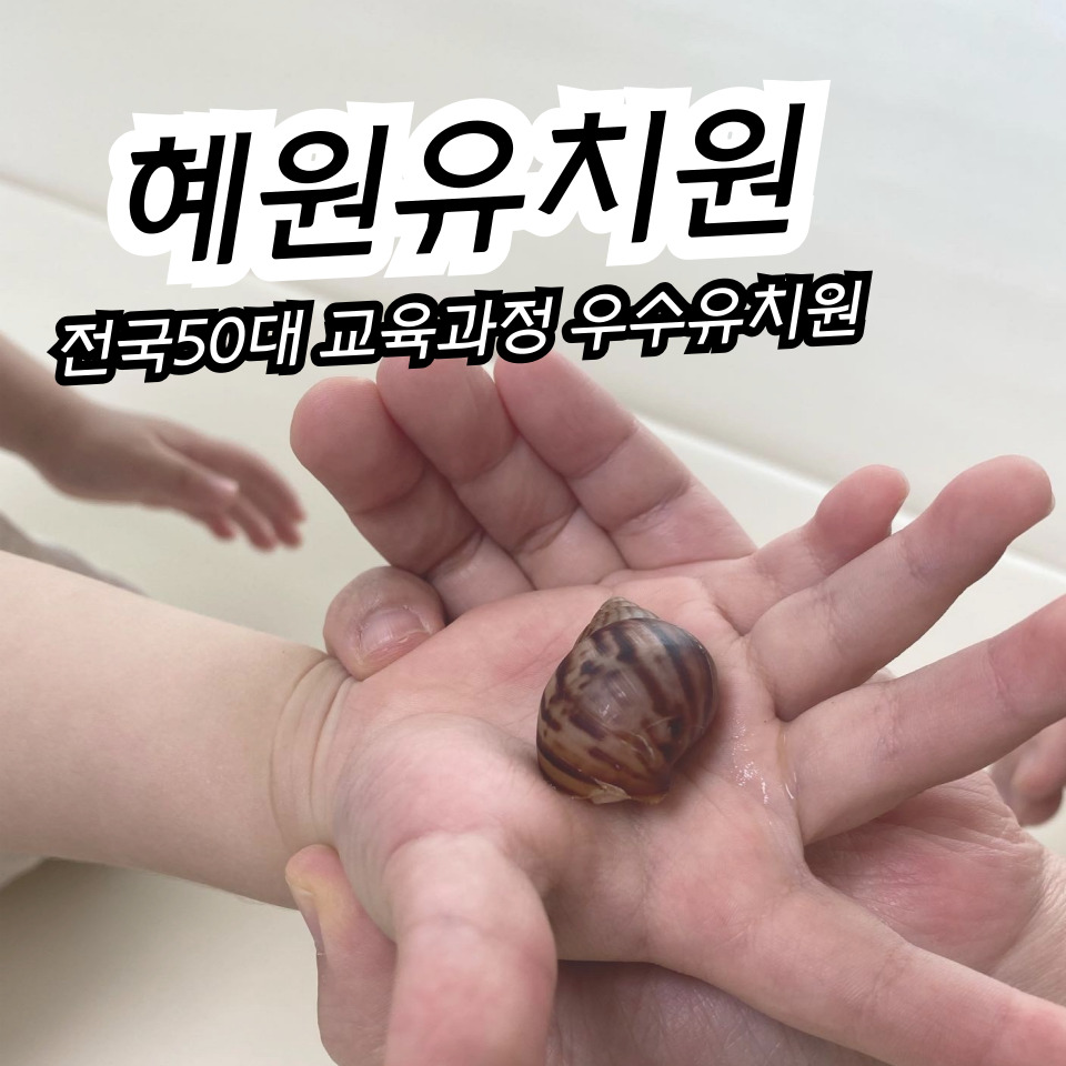 혜원유치원 이미지