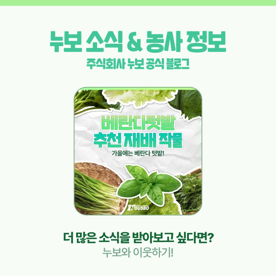 주식회사 잎아이 이미지