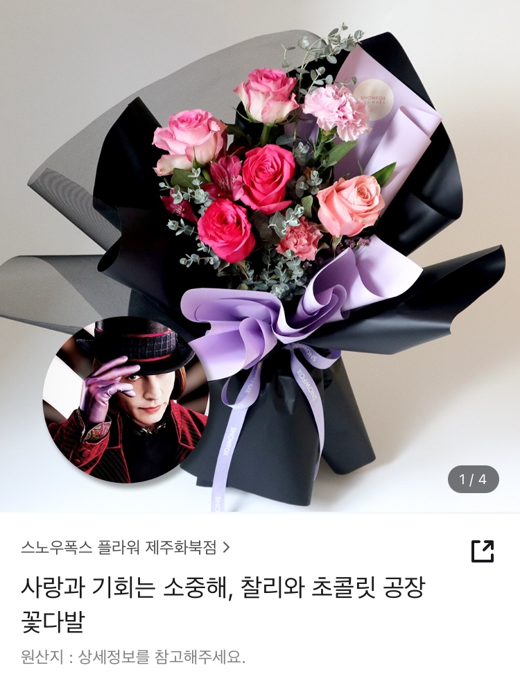 스노우폭스제주 이미지