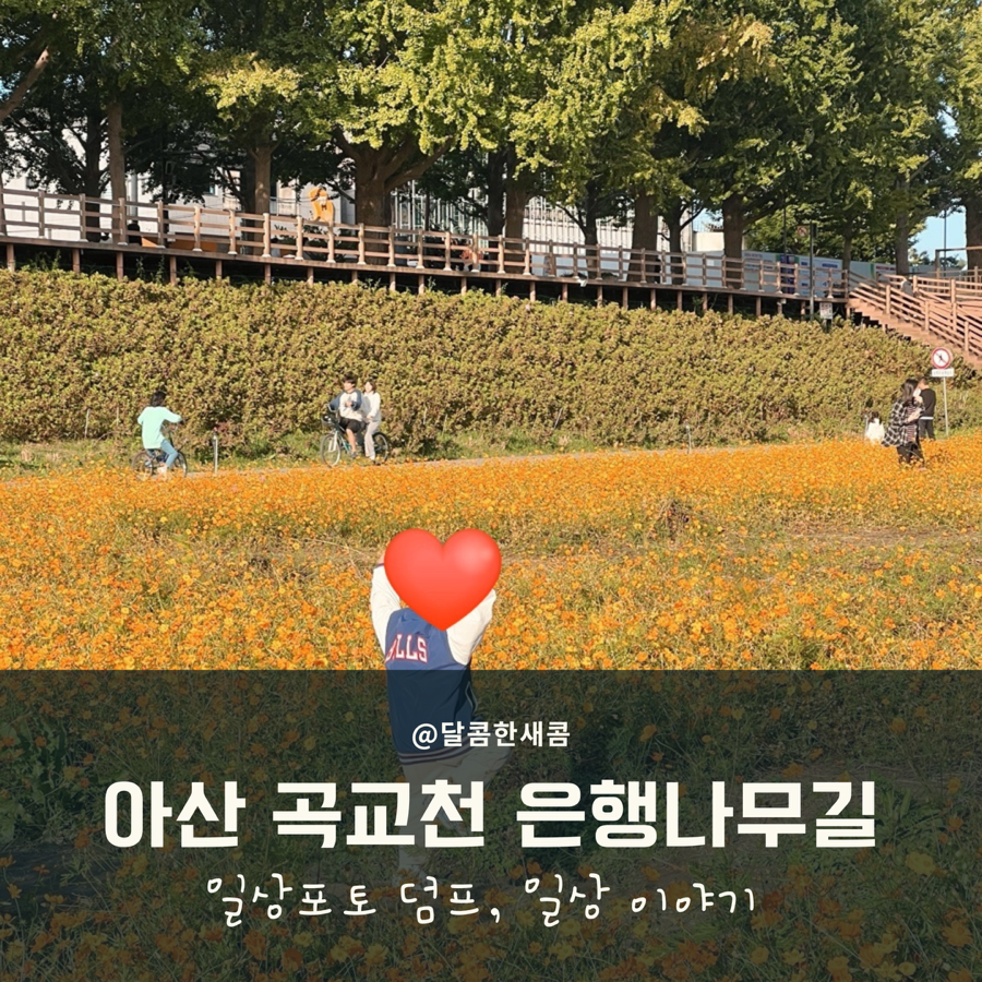 (주)행복은행나무 이미지