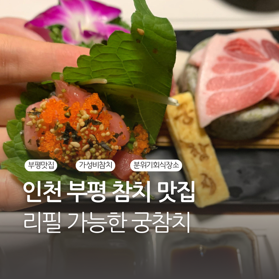 궁참치 이미지