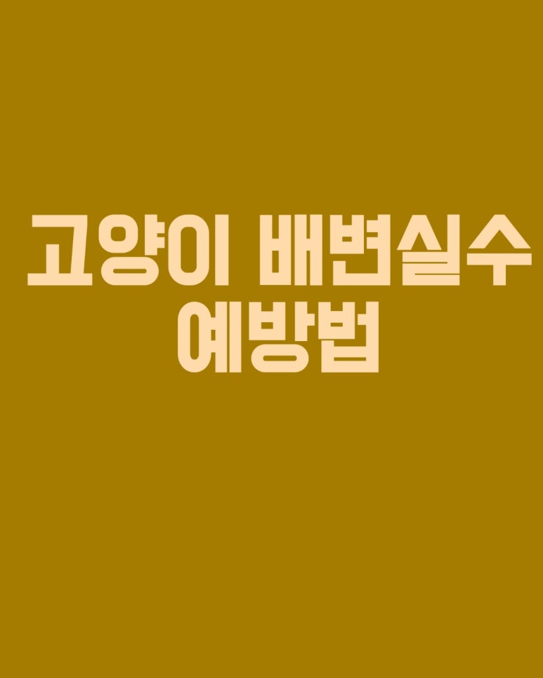 고양이 배변 실수 예방법