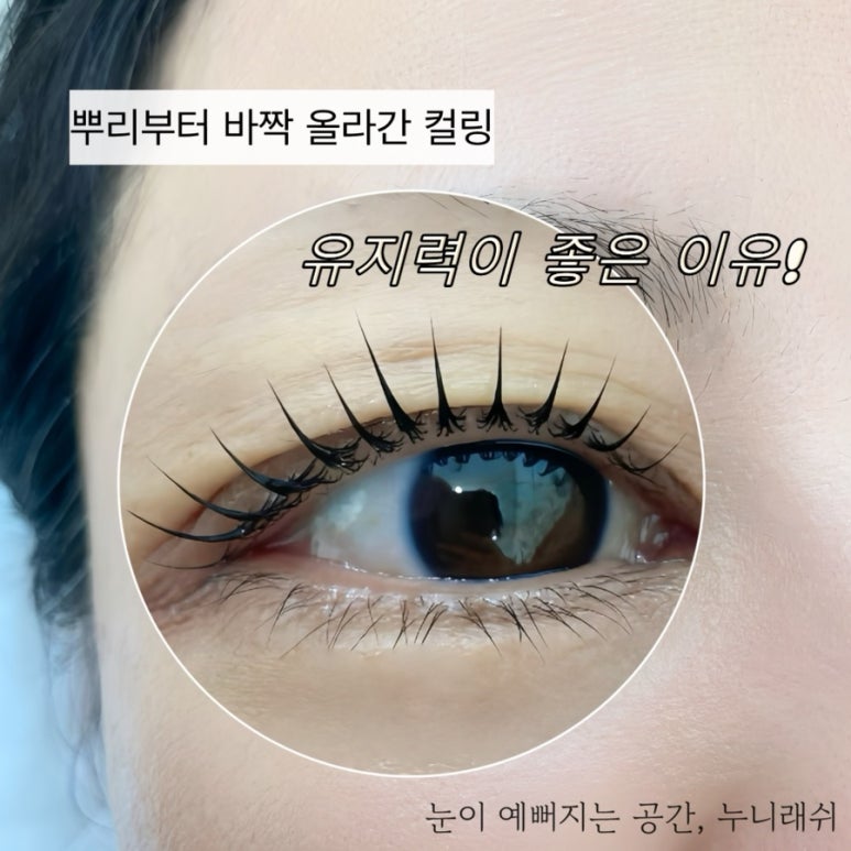 누니래쉬 이미지