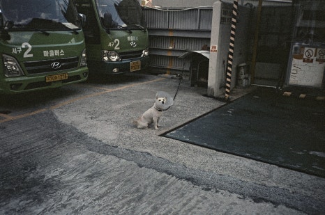 오르보 이미지