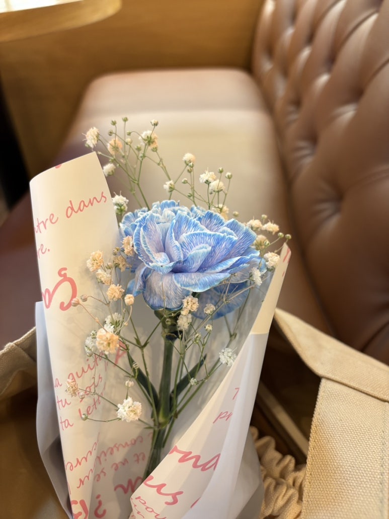 라프리마베라:봄이오다 이미지