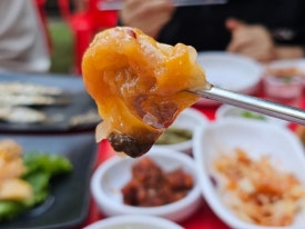 말해모회 이미지