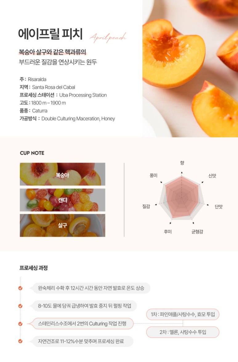 아마티보 이미지