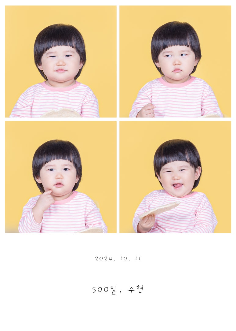 사파리사진관청주점 이미지