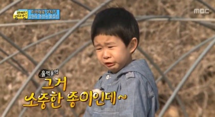 수미담 이미지