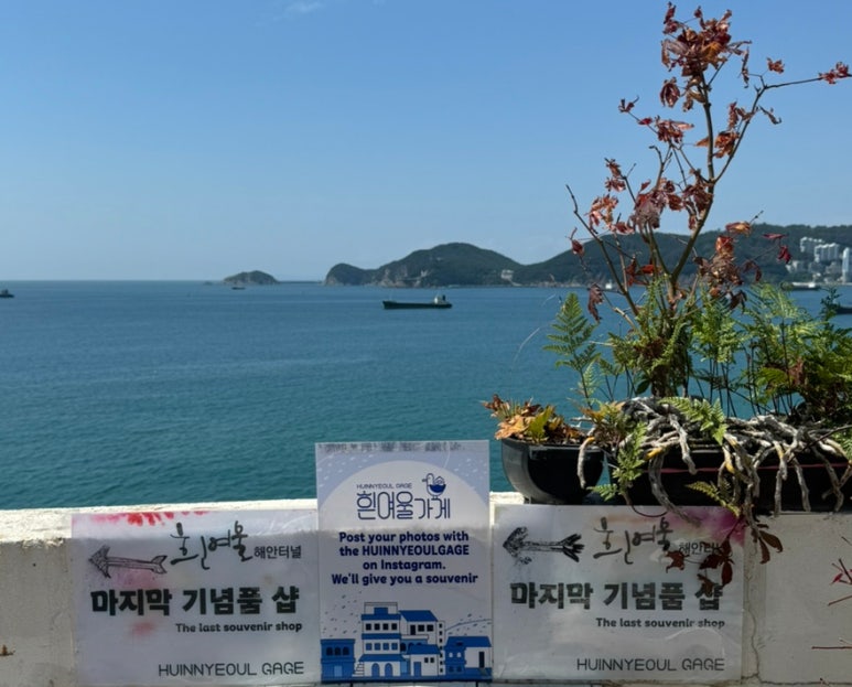 흰여울가게 이미지