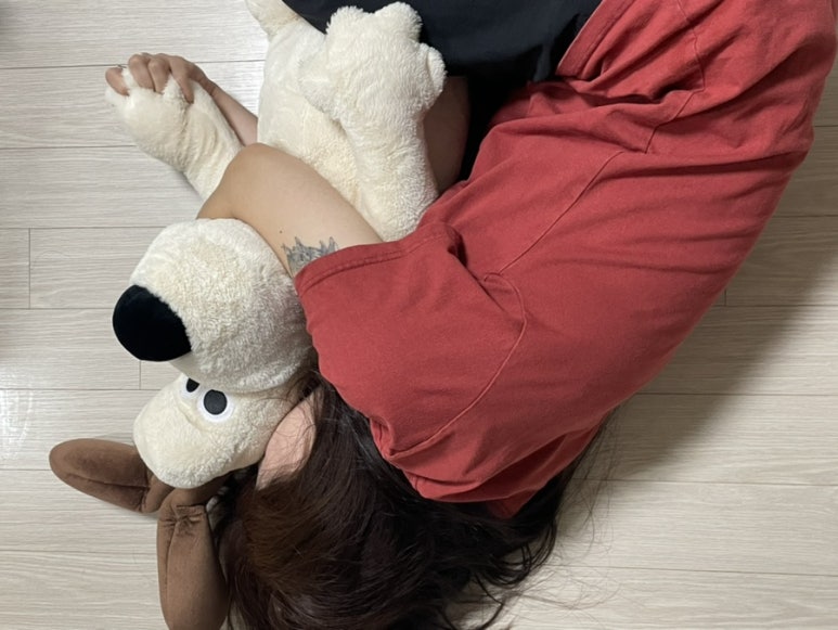 라스또르따스 이미지
