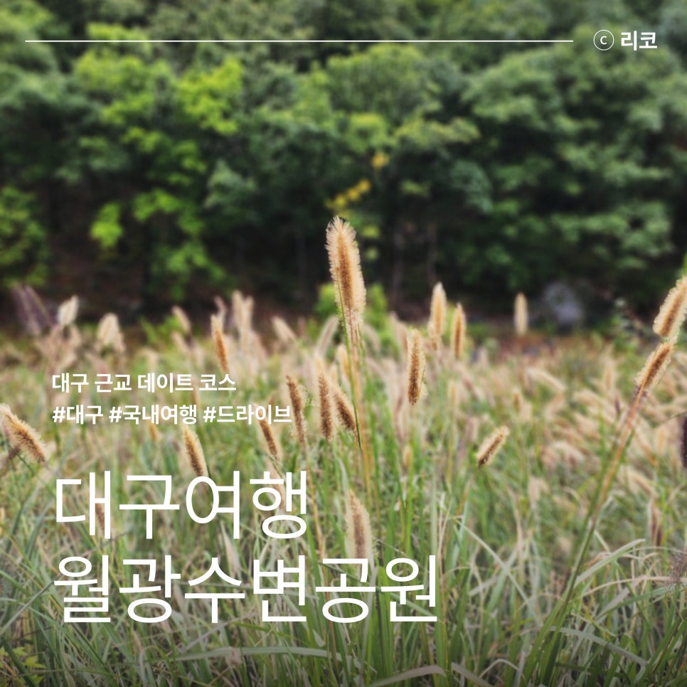 월광1수변공원 이미지