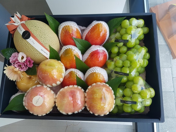 프룻수 이미지