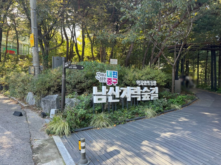 금호산 유아숲체험원 이미지