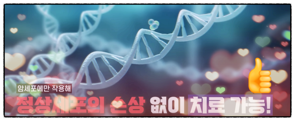 주식회사 다원식품 이미지