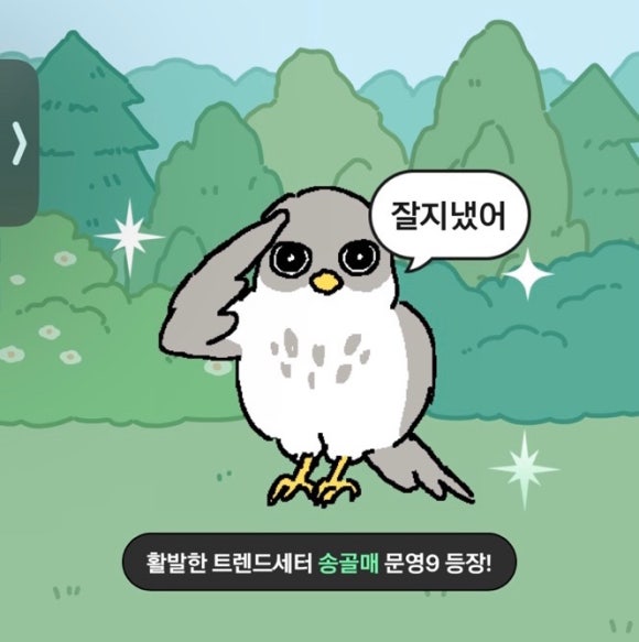 휘슈 이미지