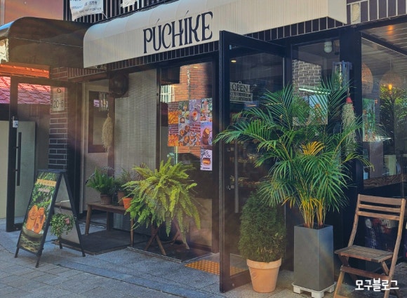 푸치케 이미지
