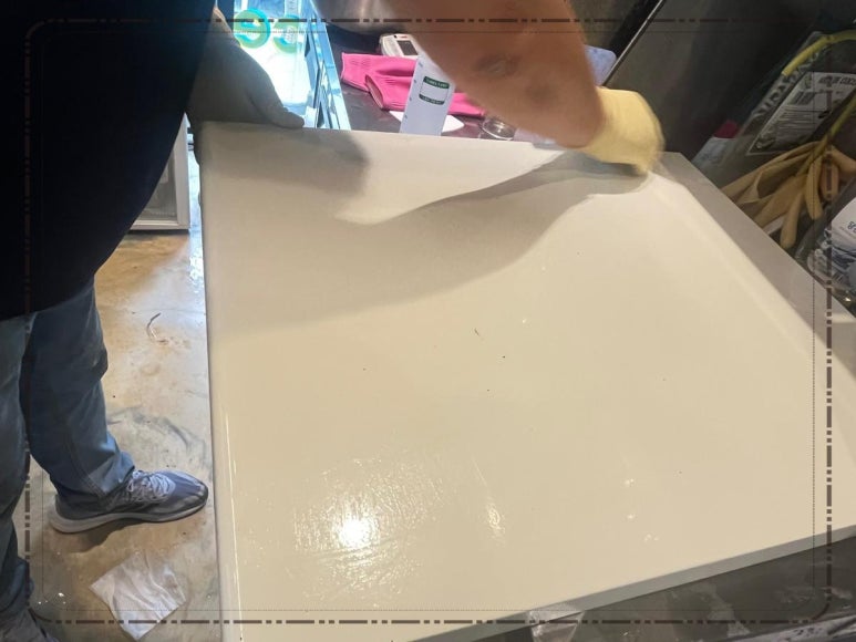 페스텍 이미지