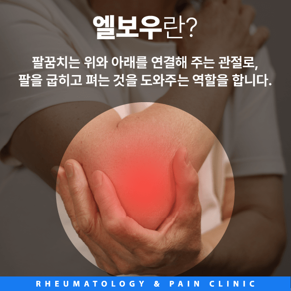 류마척제통내과 이미지