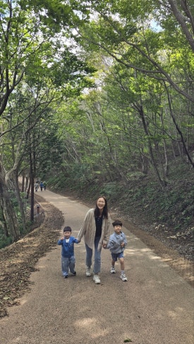 골든앵커 이미지