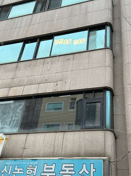 개꿀이스케이프 이미지