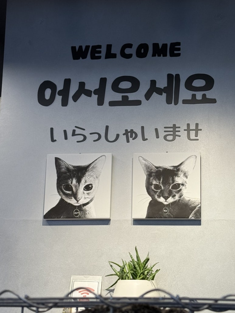 스아게K 이미지