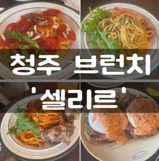 셀리르 이미지