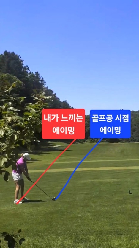 에이밍 이미지