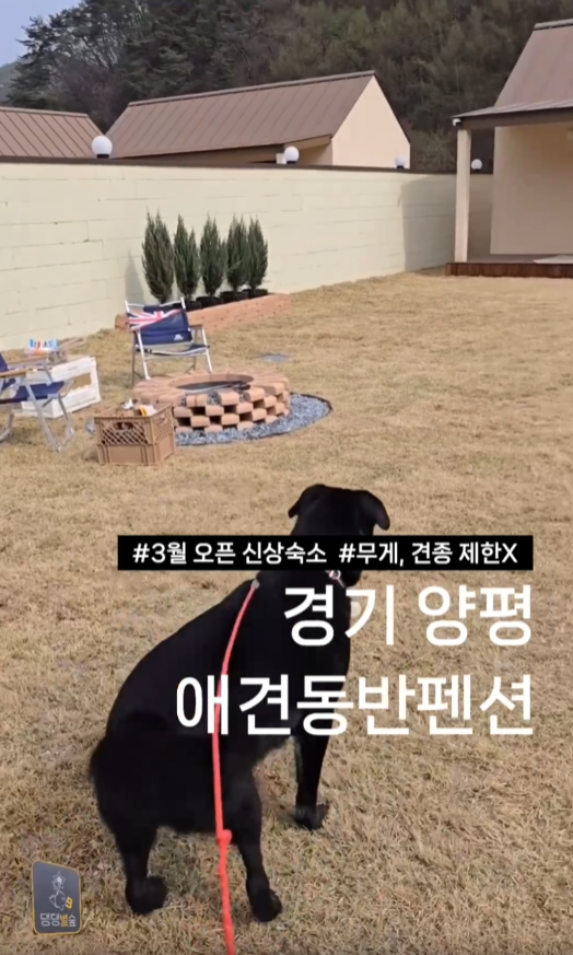 별숲 이미지
