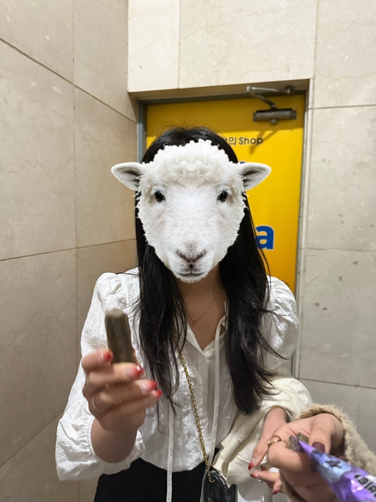 둥지노래주점 이미지