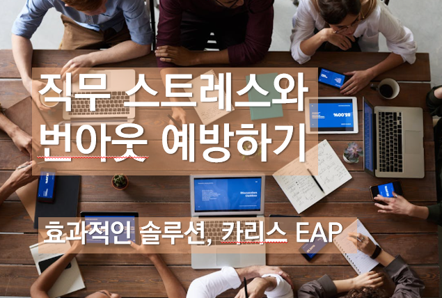 카리스솔루션 이미지