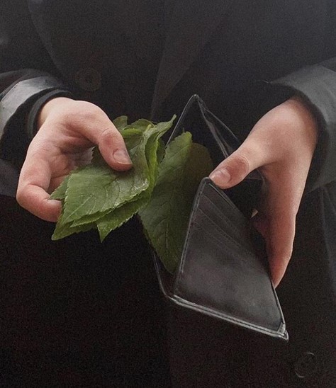 숙성회마트 이미지