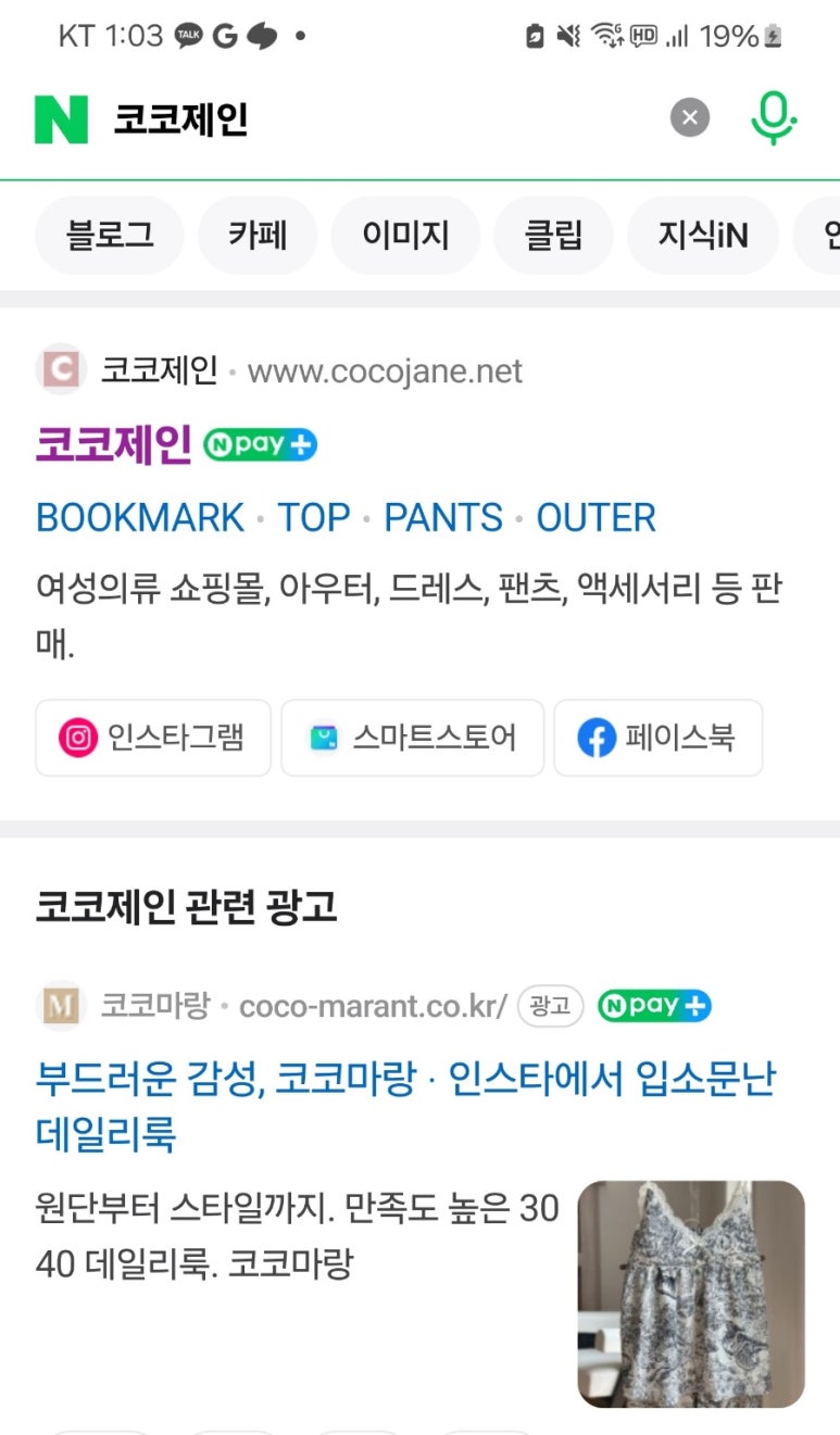 코코제인 이미지