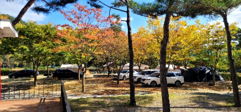 씨앗골캠핑장 이미지