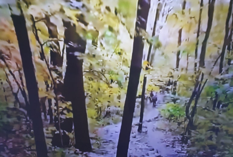 옐로우그린(주) 이미지