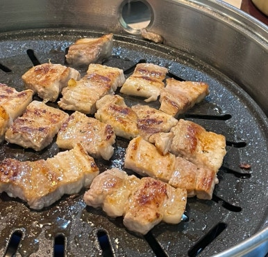 주니코기 이미지