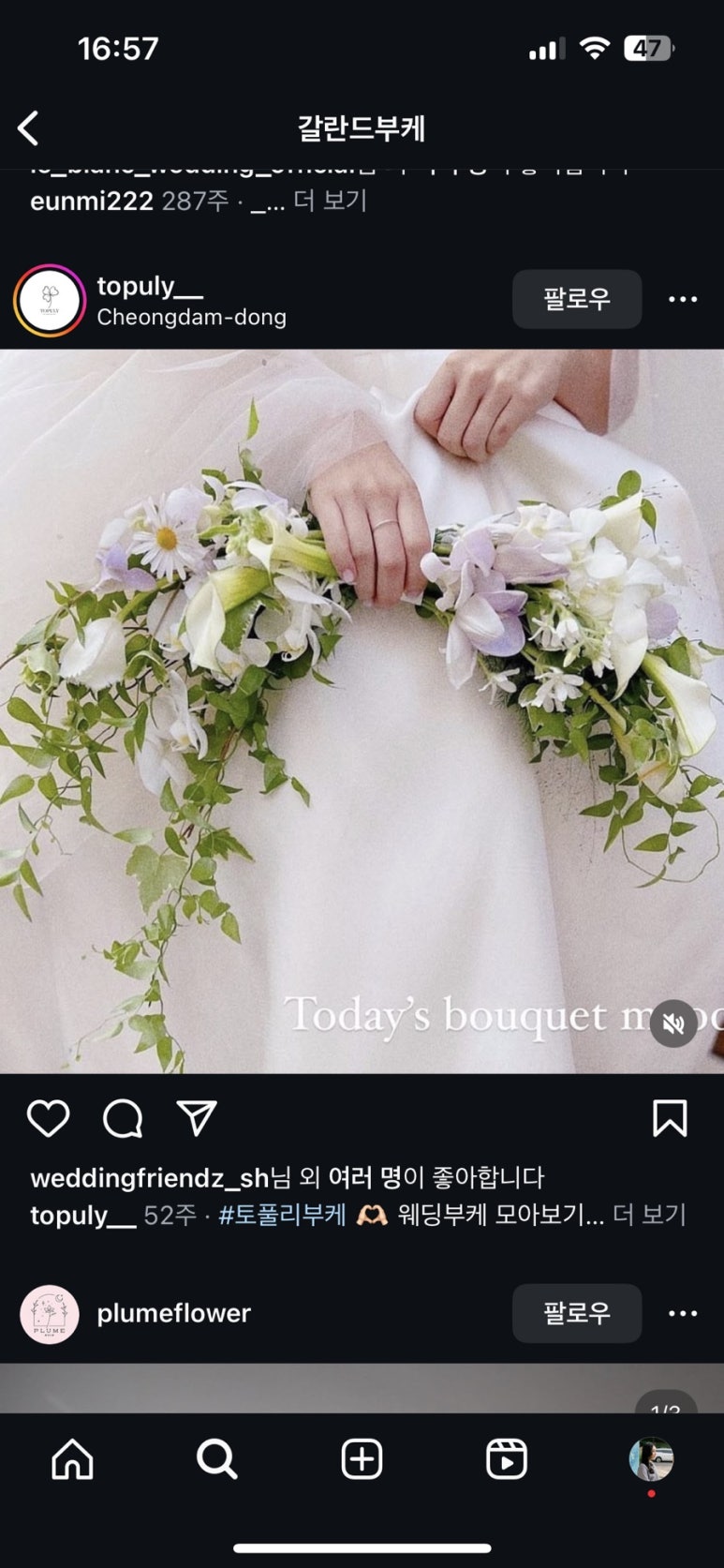 부케바이민 이미지